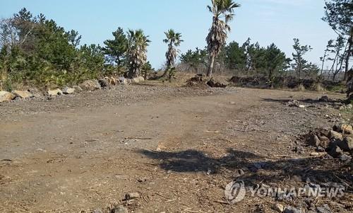 불법 훼손된 산림