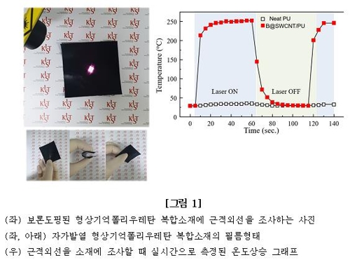 근적외선을 사용한 뒤 측정된 온도상승 그래프