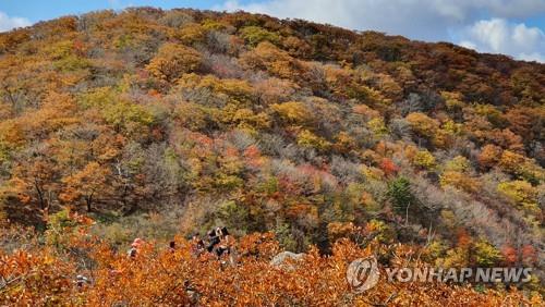 완연한 가을 날씨에 만산홍엽…중부권 유명산에 단풍객 '넘실'