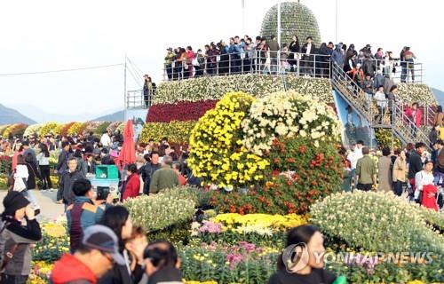 2018년 마산국화축제장