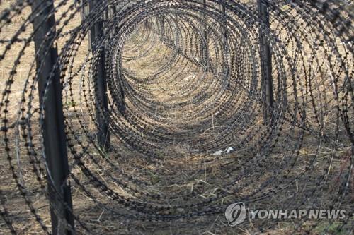 50일 넘긴 아프리카돼지열병