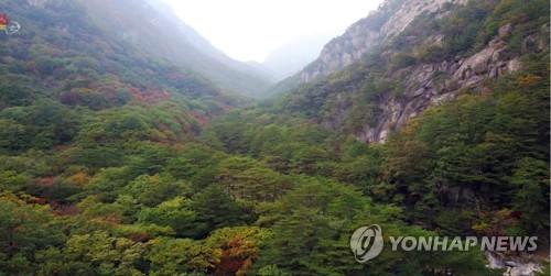 북한 금강산관광지구