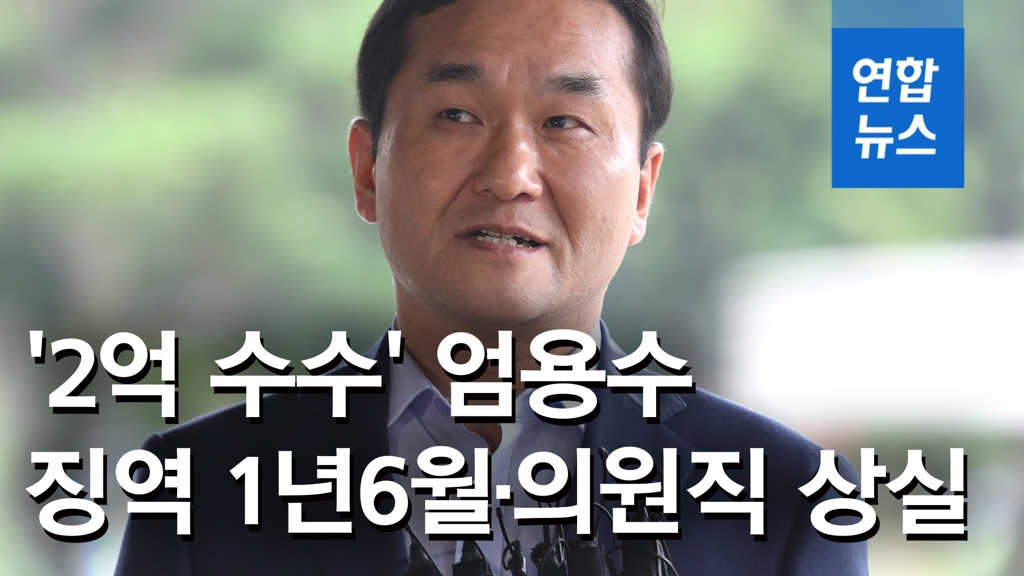 [영상] '불법자금 수수' 엄용수 의원직 상실…징역 1년6개월 확정 - 2