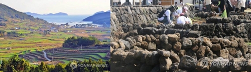 청산도 구들장논(왼쪽)과 제주 밭담