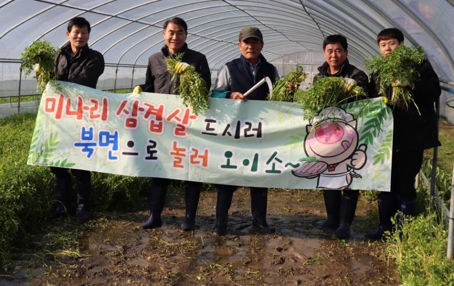 창원 북면 '천주산 미나리' 출하 시작