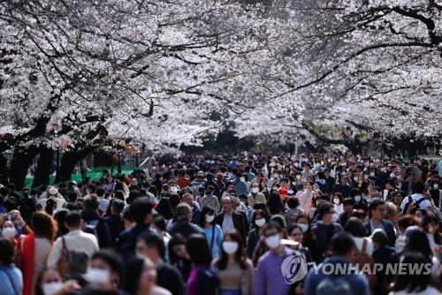 벚꽃 보는 도쿄의 상춘객…2주 후 확진자 급증