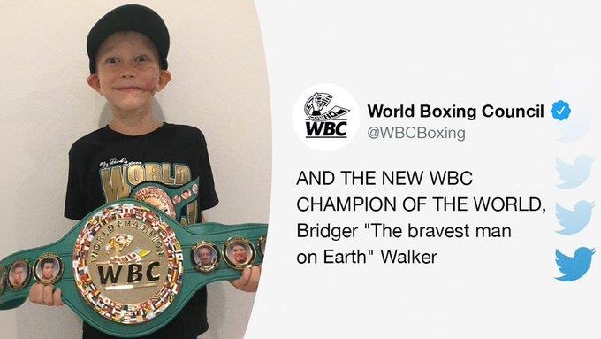 WBC, 맹견 공격서 여동생 구한 6세 소년에게 명예 챔피언 벨트 수여