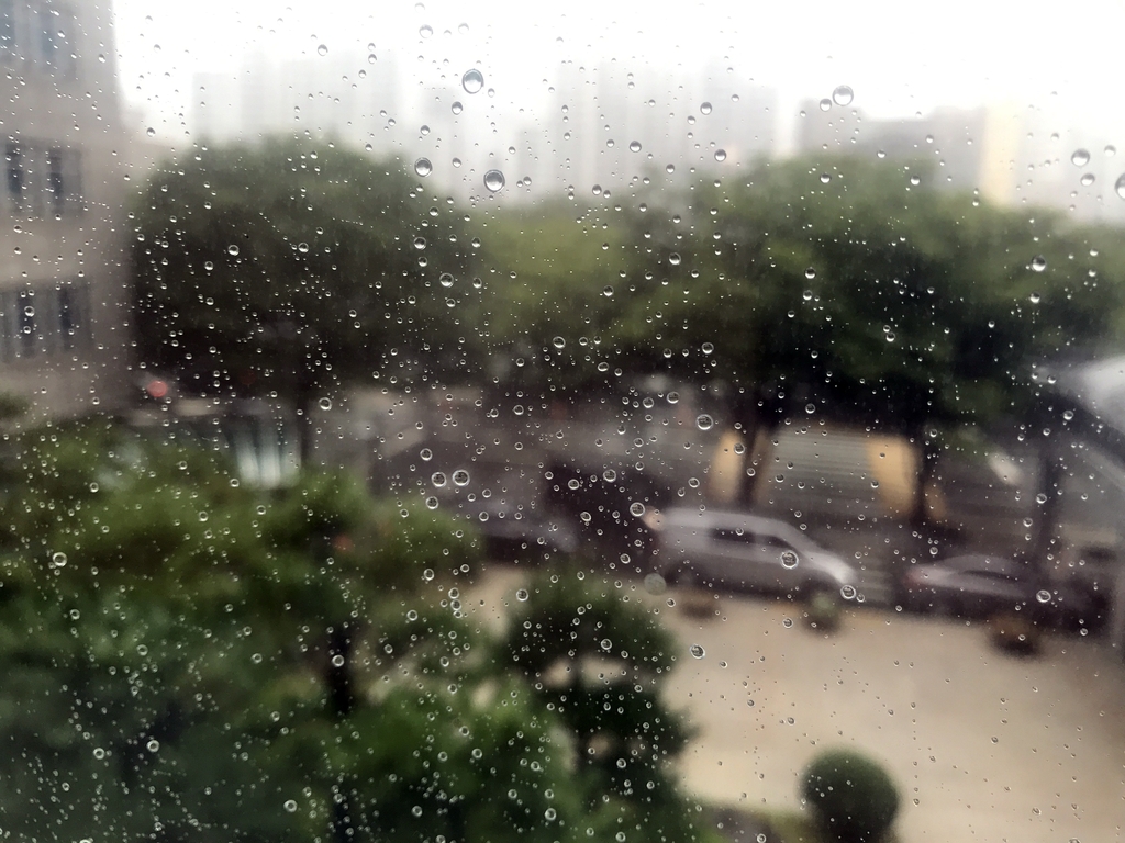 일주일째 비오는 부산…부산시청 앞 풍경