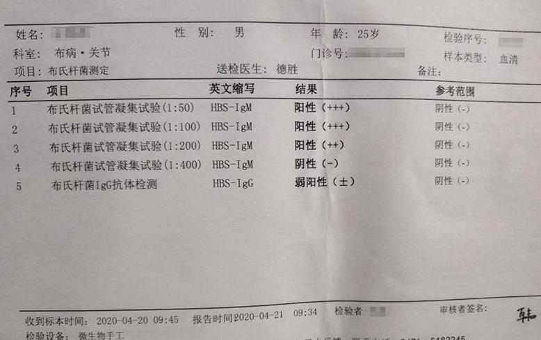 브루셀라균 항체 양성반응 결과지