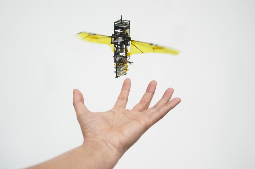 충돌해도 추락하지 않는 곤충 모방 날갯짓 비행로봇