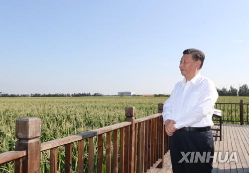 지린성 시찰 나선 시진핑 중국 국가 주석