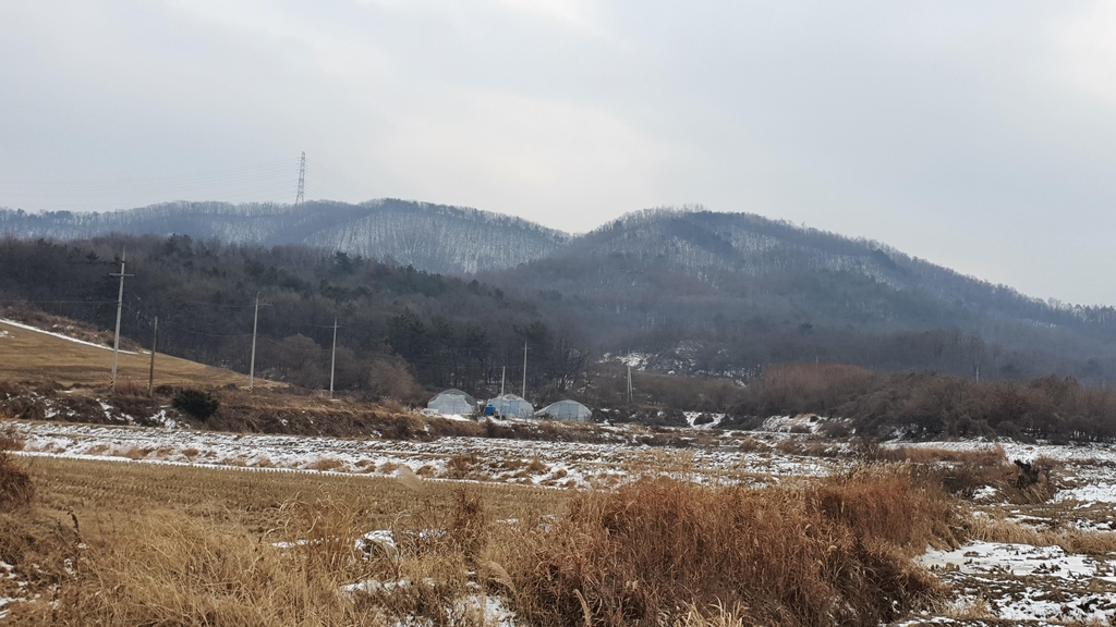 사업부지 뒷산
