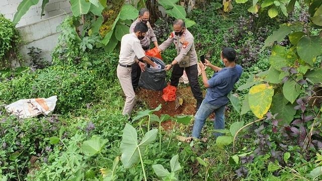 인도네시아 경찰, 멧돼지 무덤 파헤쳐 사체 수거