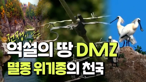 [연통TV] 전쟁이 낳은 역설의 땅 DMZ…멸종위기종의 천국