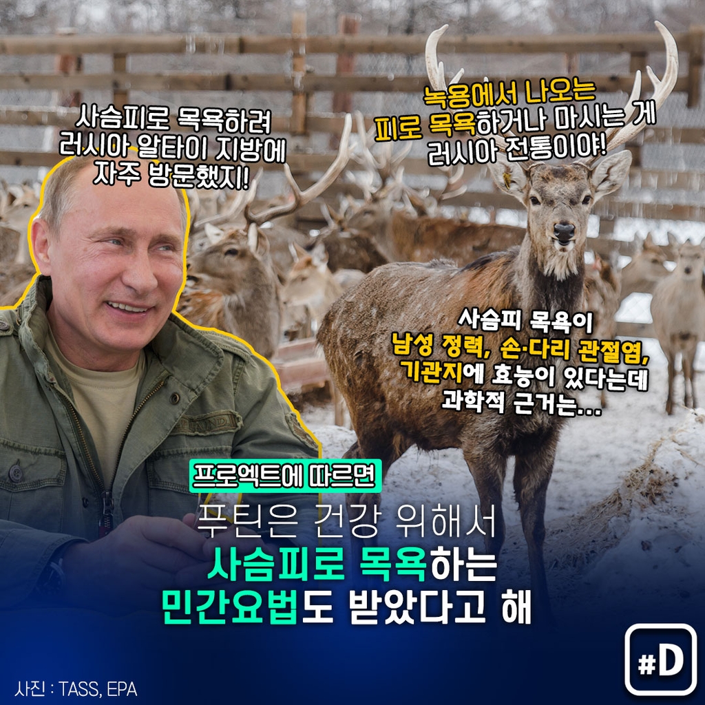 [포켓이슈] "푸틴, 갑상선 수술받고 사슴피 목욕도 했다" - 7