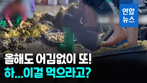 [영상] 맨발로 지근지근 밟아줘야 제맛?…중국 절임배추 만드는법 - 2