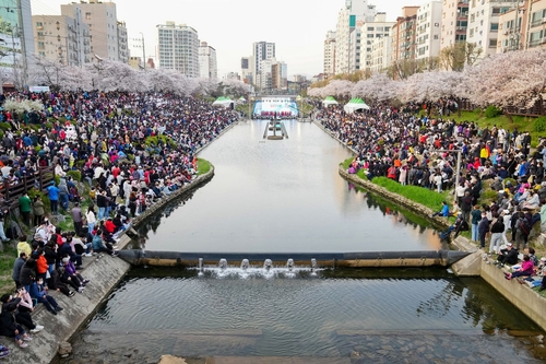 불광천 벚꽃축제 은평의 봄 내달 개최…김범수·하이키 공연