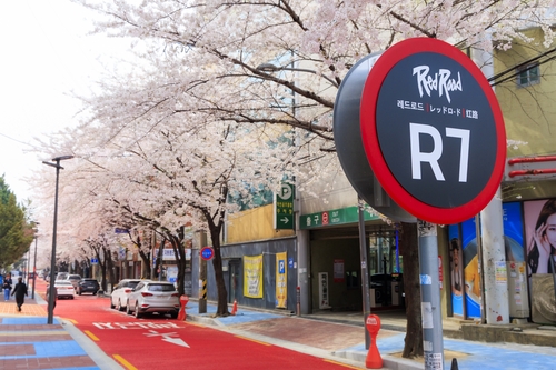 '벗과 함께 꽃 동행'…마포구 11일 벚꽃축제 개최