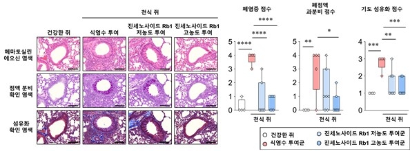 천식 동물모델에서 폐 염증 개선 효과 확인 