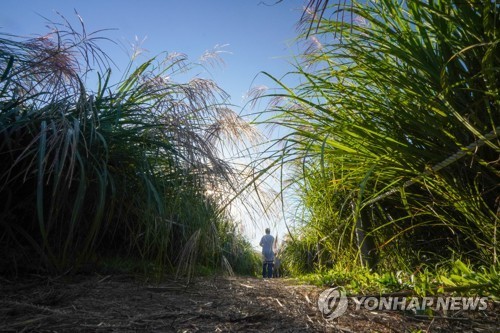 [여행honey] 도시의 작은 기적 하늘공원