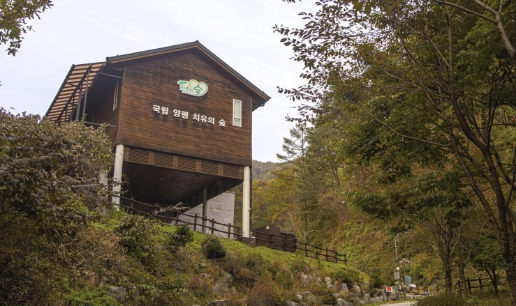 국립양평치유의숲