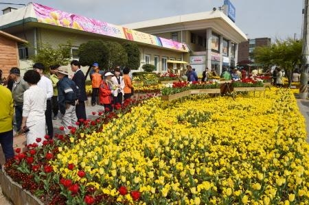 '장성군 빈센트의 봄' 꽃과 예술, 봄을 즐긴다 - 1
