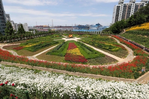 인천 동구 하늘생태정원, 여름초화 식재 - 1