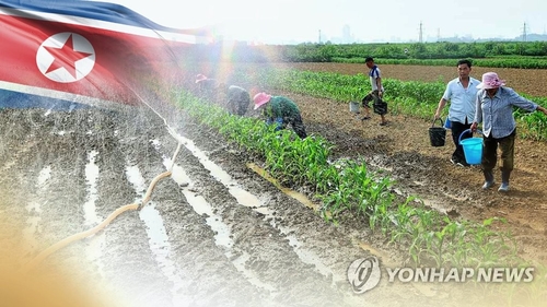 El periódico oficial norcoreano destaca el apoyo a la agricultura en todo el país en medio de la temporada de siembra del arroz
