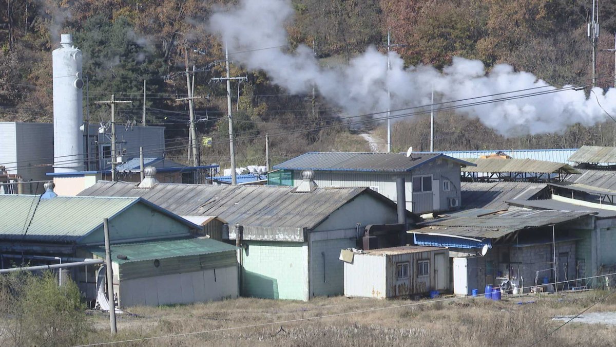 살처분 돼지 처리시설 풀가동…"24시간 악취"