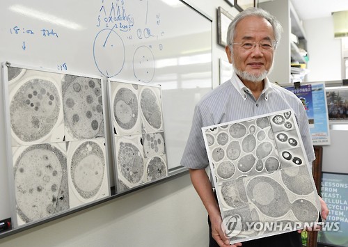 오스미 요시노리 노벨생리의학상 수상자