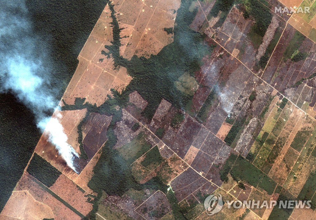 Brazil Amazon Fires