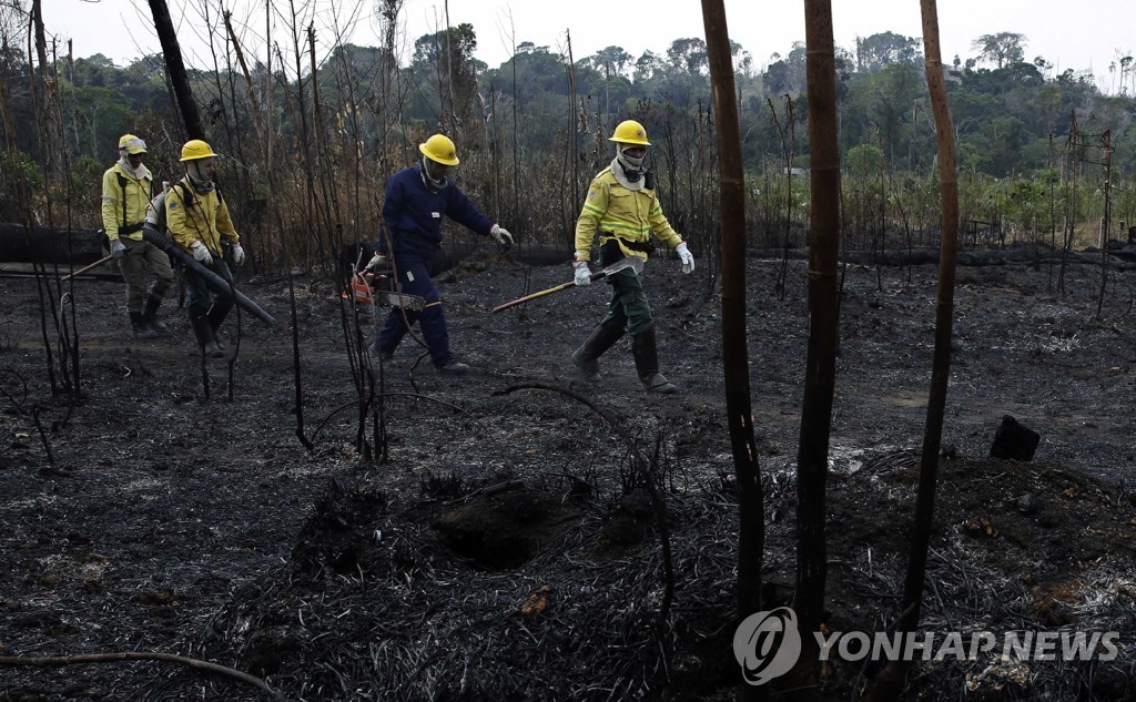 Brazil Amazon Fires