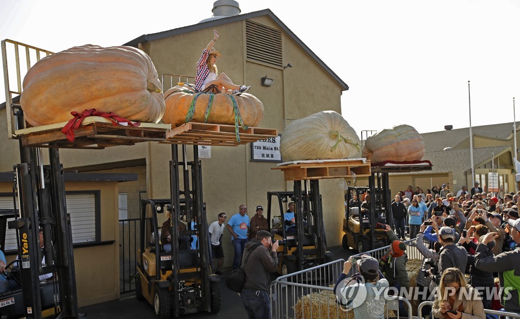 Giant Pumpkin Winner