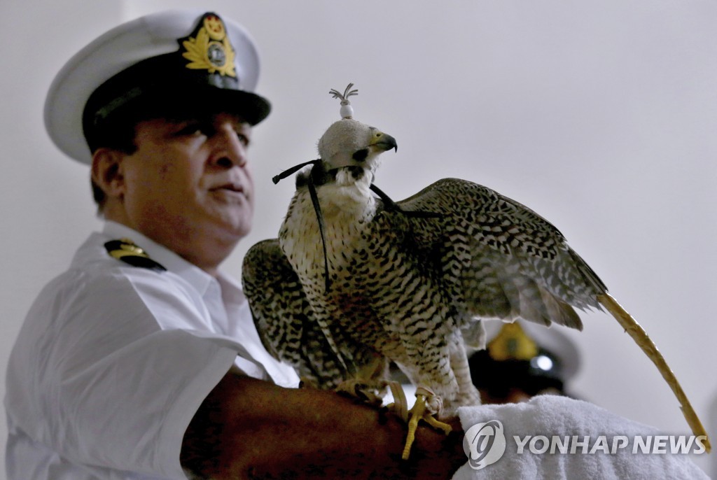 Pakistan Falcon