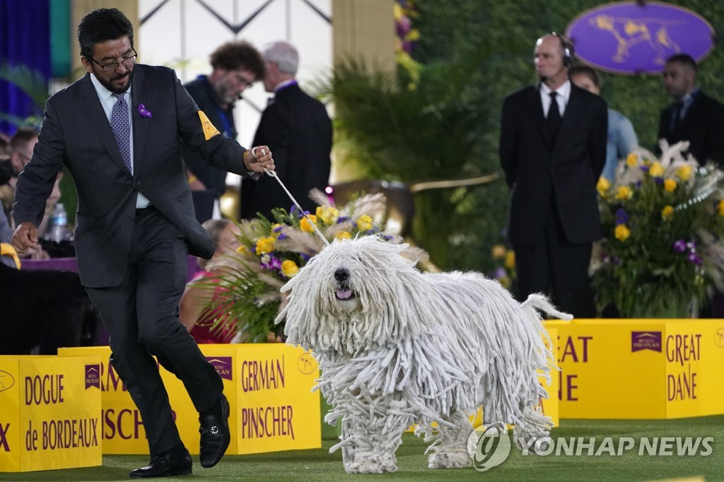 Westminster Dog Show