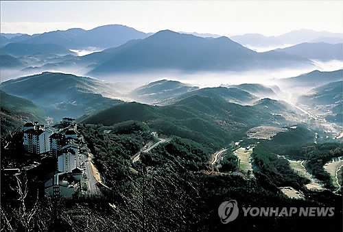 태백 오투리조트