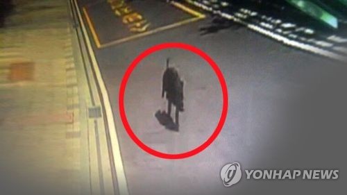 광주 도심서 멧돼지 이틀 새 3차례 출몰 - 1