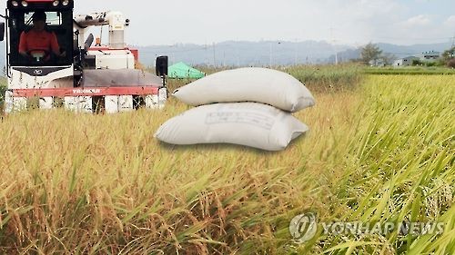 쌀