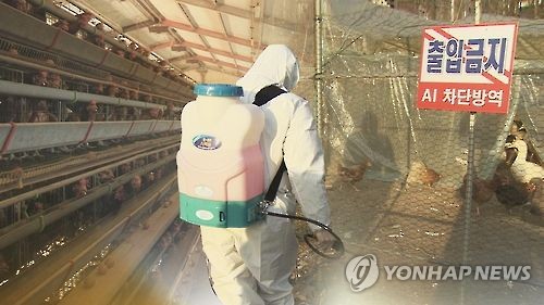 한강 뿔논병아리 폐사체서 AI 검출…주변지역 임시 폐쇄(종합2보) - 2