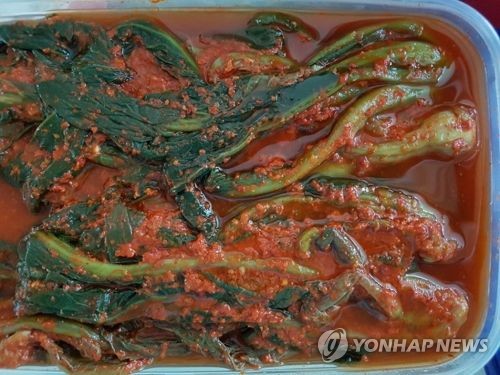 "갓김치 유산균으로 아토피피부염 잡는다"(종합) - 1