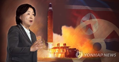 심상정 정의당 대선후보 안보(PG)