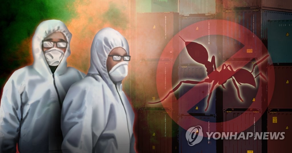붉은 독개미 (PG)
