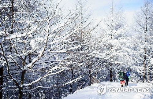 지리산 바래봉의 겨울