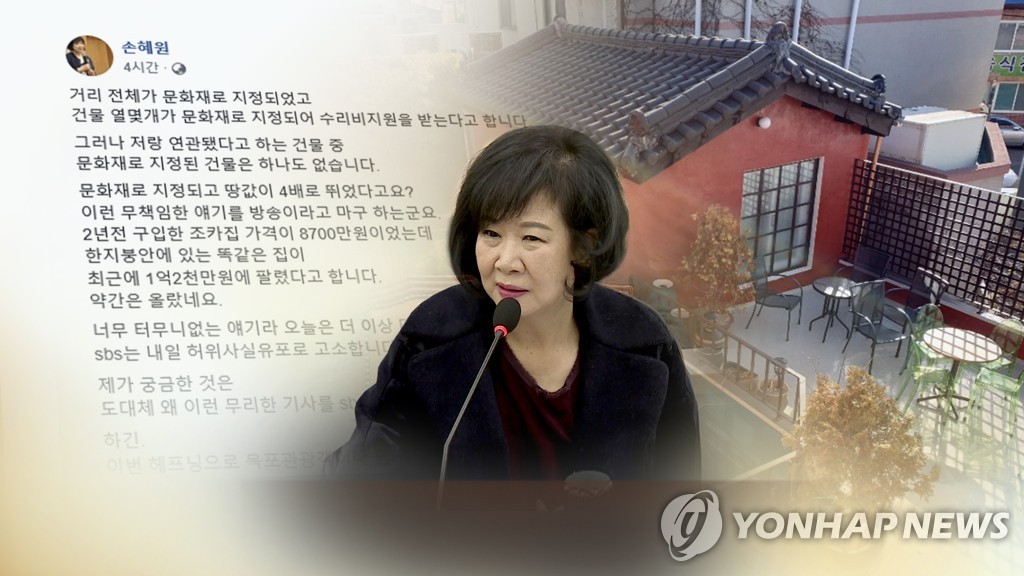 민주당 손혜원 의원의 부동산 투기 의혹 (CG)