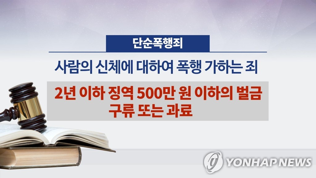 단순폭행죄 (CG)