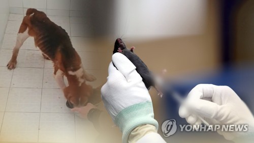 동물 실험