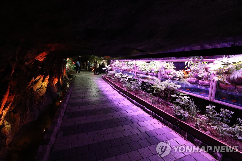 피서지로 인기 끄는 광명동굴