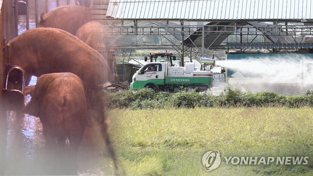 한국의 돼지열병 방역 모습(CG)