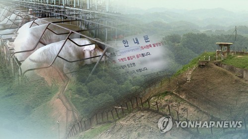 파주 멧돼지 폐사체서 또 돼지열병 바이러스…14번째 검출 (CG)