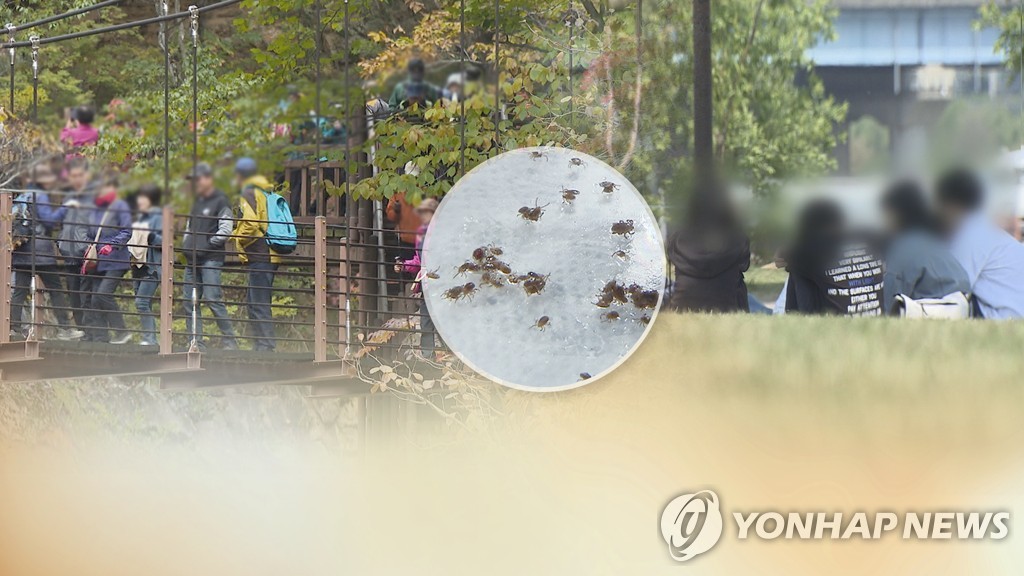 가을철 쯔쯔가무시병 주의(CG)